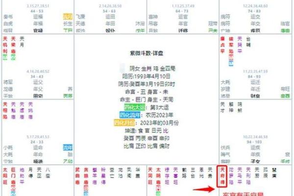 紫薇斗数财帛宫天同平