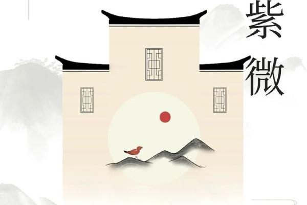 紫薇斗数高道原