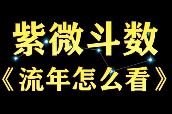 紫薇斗数高道原