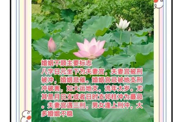 哪些生辰八字是容易导致婚姻不稳固