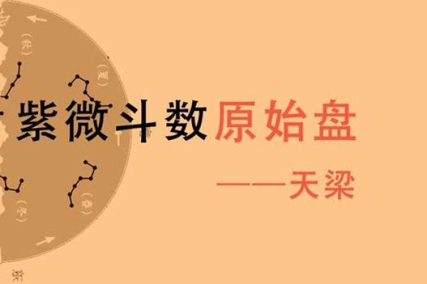 紫薇斗数天梁