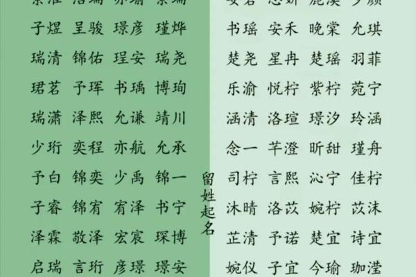 生辰八字宝宝起名软件