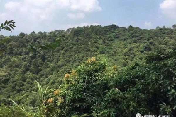 黄绍竑祖坟风水 粟裕祖坟风水
