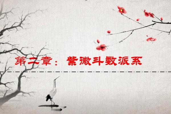 紫薇斗数各个派别