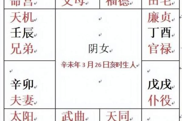 年马紫薇斗数