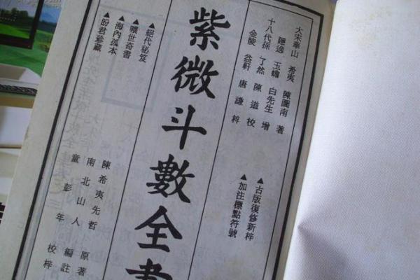 年马紫薇斗数