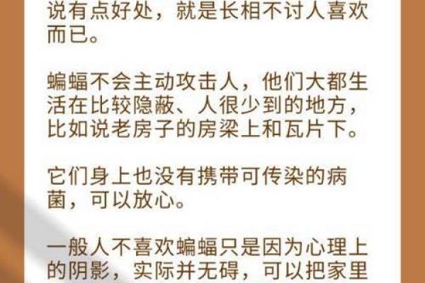 蝙蝠入屋是不吉利的吗风水上讲预示着什么-