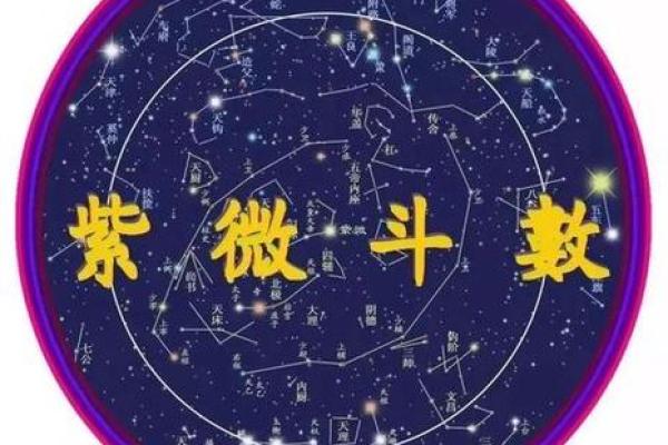 紫薇斗数贪狼