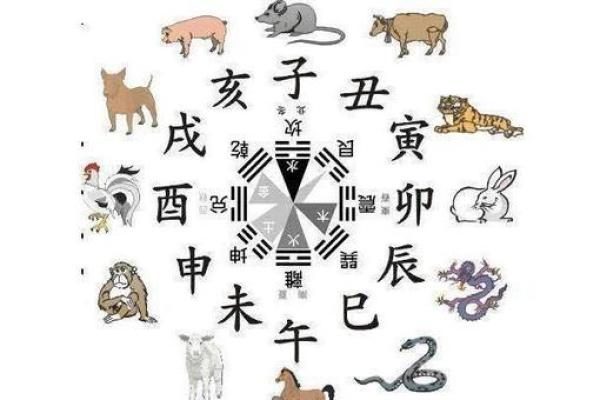 楼层风水与属相五行