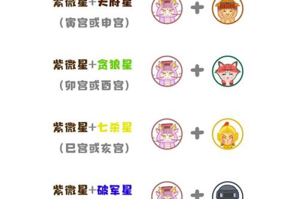 紫薇斗数如何判断性取向