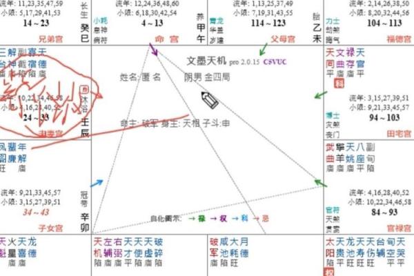 紫薇斗数看合伙