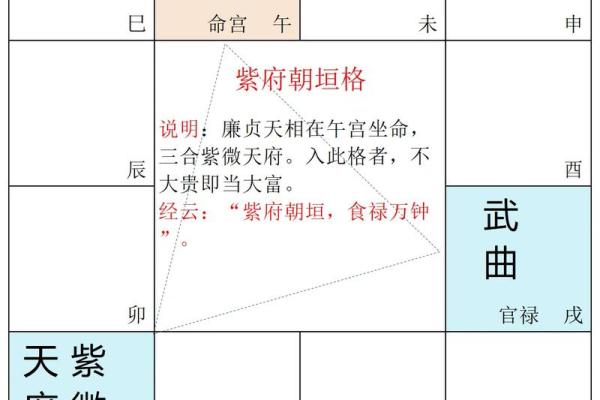 紫薇斗数一位伟人