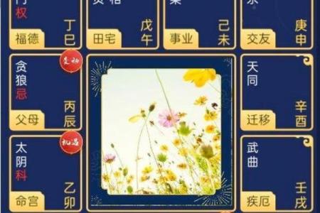 紫微斗数看进财迹象 紫微斗数看财源？