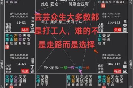 紫薇星盘看天盘还是地盘