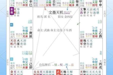 紫薇斗数平什么意思