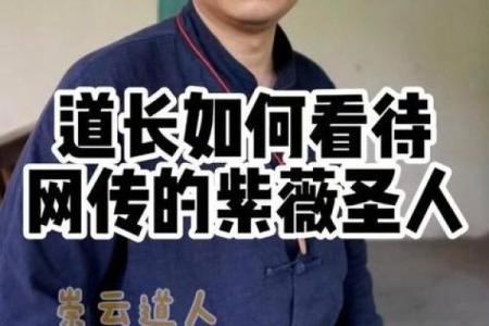 包含紫薇圣人斗数的词条
