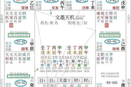紫薇斗数排盘准不准
