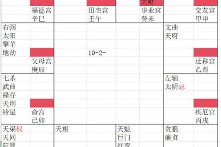 紫薇斗数正财星