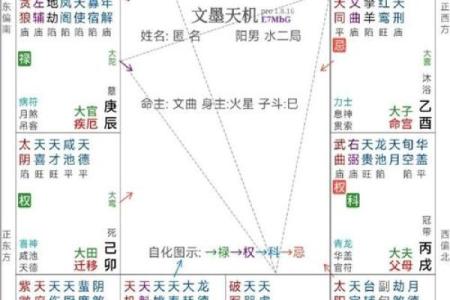 kl紫微斗数 紫微斗数速查表？