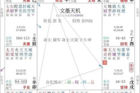 紫薇斗数几种格局