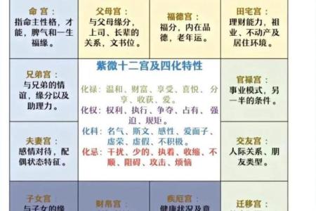紫薇斗数吧6