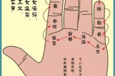 男人九种手相算命图解
