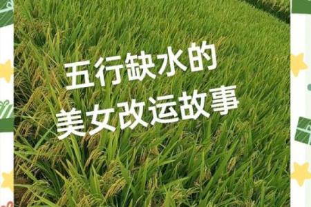八字水多的女人有哪些运势怎么样
