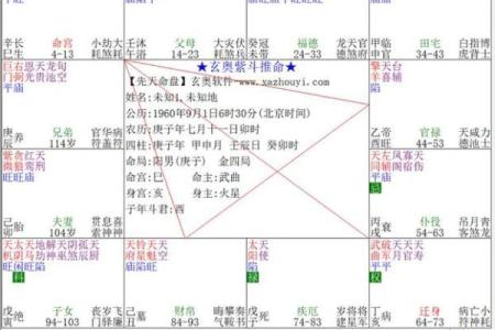 紫薇斗数预测疫情
