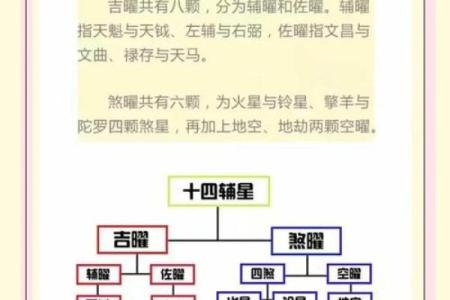 紫薇斗数看润月