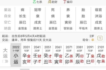 八字太阳