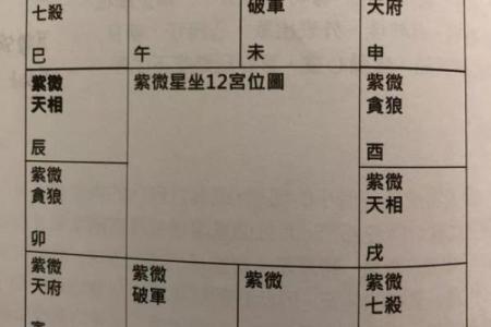 紫薇斗数正格