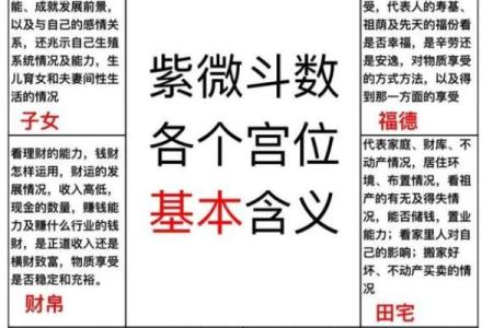 紫薇斗数的紫薇是啥意思