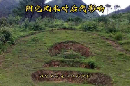 风水阴宅什么土质最好
