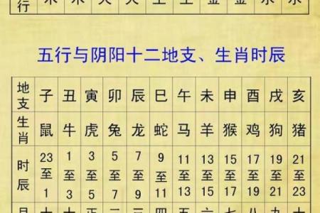 生辰八字五行木代表什么 生辰八字木代表什么意思