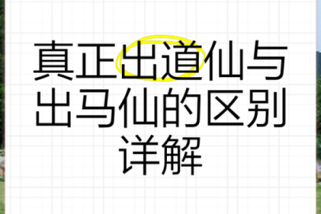 有没有顶仙算命的