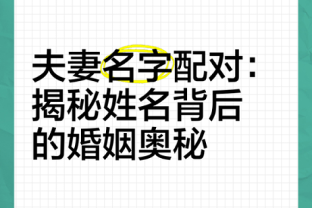 姓名配对恋爱契合度,姓名匹配测试免费