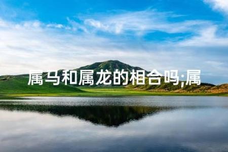 老公属马,老婆属龙,住几层的楼房风水更好？