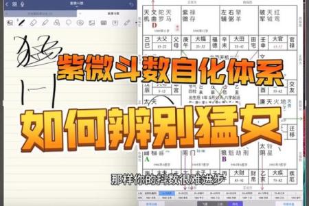 紫薇斗数看情商