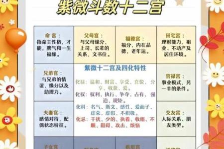 你相信紫薇斗数吗