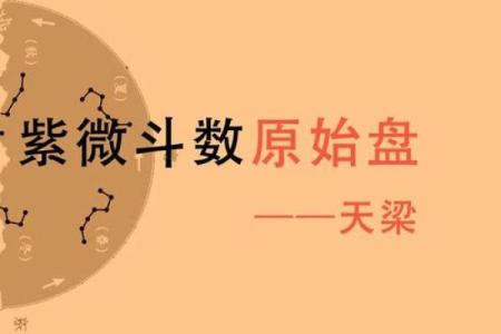 紫薇斗数天梁