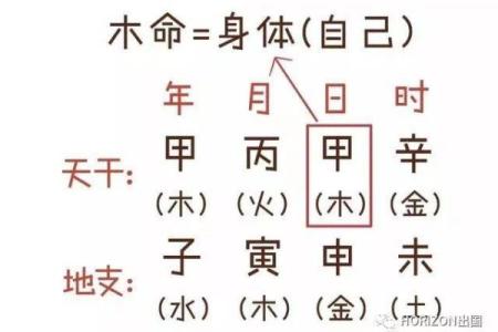 项城哪里八字算命