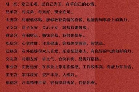 紫薇斗数看做什么