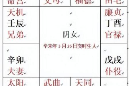 年马紫薇斗数