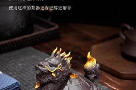 风水龙龟摆件摆在家的什么位置好