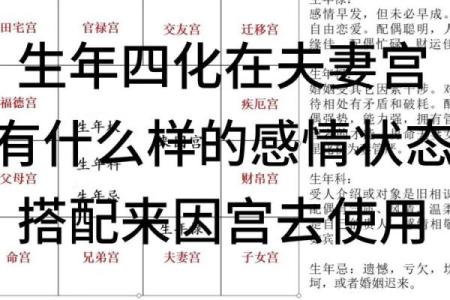 紫微斗数之生年干四化表象：财帛宫四化