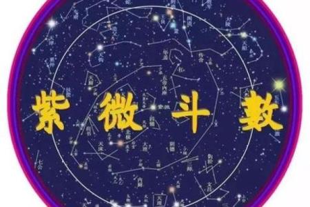 紫薇斗数贪狼