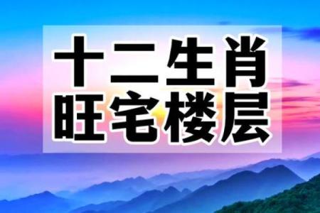 楼层风水与属相五行