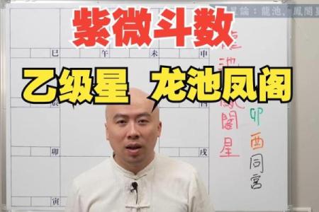 紫薇斗数中凤阁什么意思