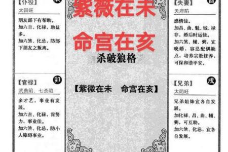 紫微斗数之活用斗数预测生活百事- 活用紫微斗数择吉简介