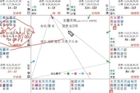 紫薇斗数看合伙